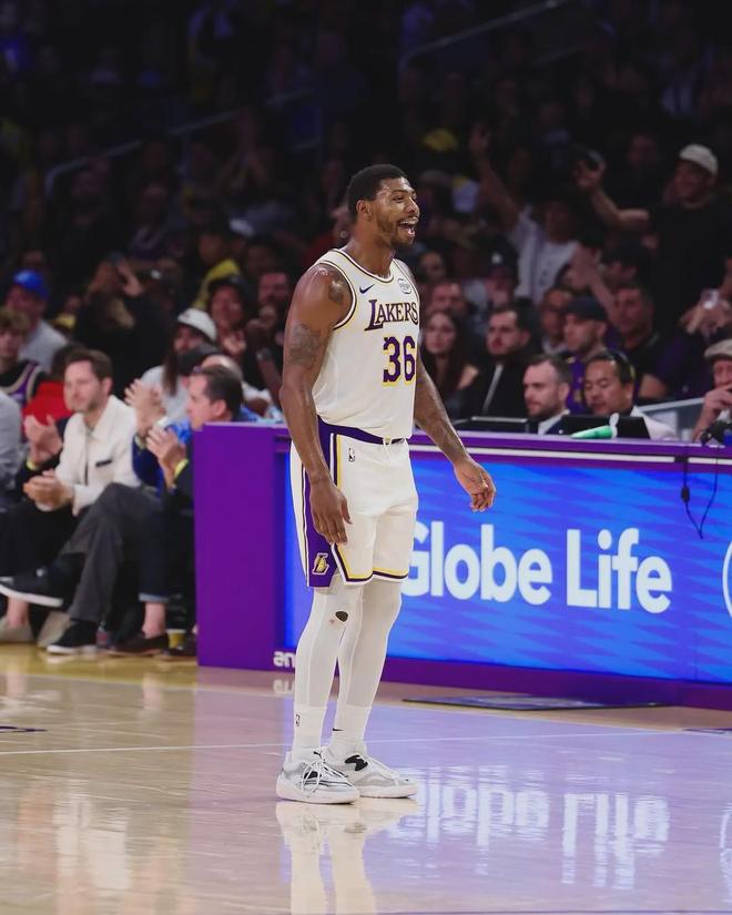 斯玛特防守核心价值凸显 湖人队内角色不可或缺